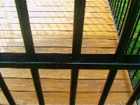 IMAG0563.JPG
